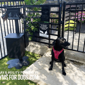 A black dog in a pink harness sits by a gate with flower planters and a paw-shaped waste bin. An 18"W x 24"H Basic Dog Park Sign is posted on the gate with safety rules. Text below reads "GYMS FOR DOGS.COM.